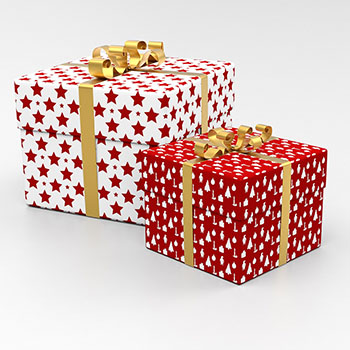 2 Gift Boxes 