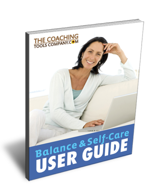 Balance and Self-Care Toolkit 3D User Guide Image