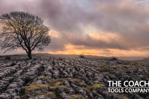 Tree on rocks against stormy sky