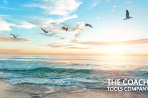 Image of Birds Flying Across Beach for Louise Hay