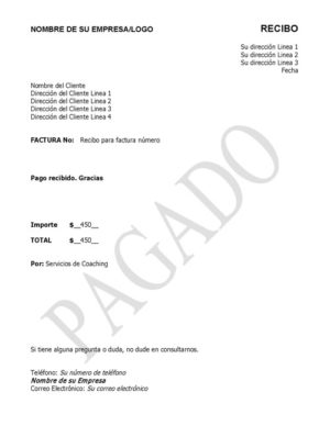 Plantilla modelo de Recibo de Pago