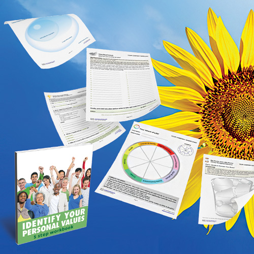 Example Coaching Tools on Blue Background with Sunflower