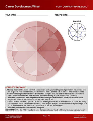 Career Wheel Coaching Tool p1