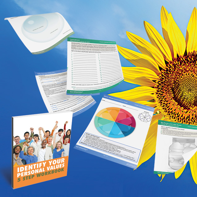 Example Coaching Tools on Blue Background with Sunflower