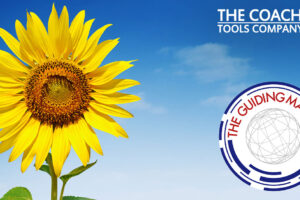 Sunflower against blue sky with Coaching Tools & Guiding Matrix Logo